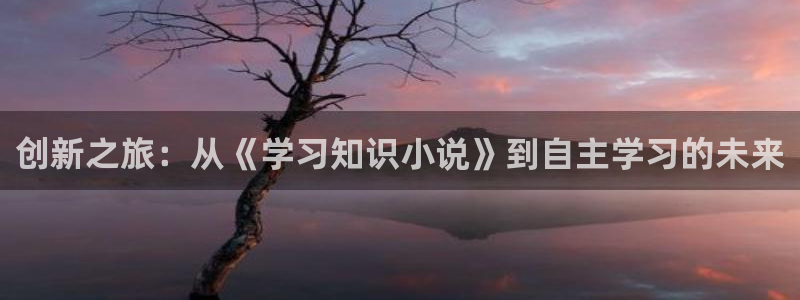 新御书屋御宅屋自由阅读网：创新之旅：从《学习知识小说》到自主学习的未来